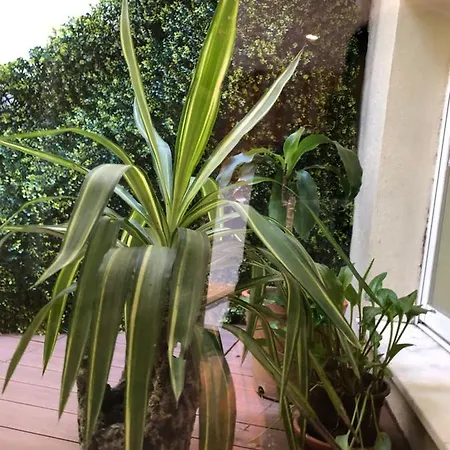 Santa Clara * Lisboa